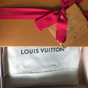Louis Vuitton phone case/card holder